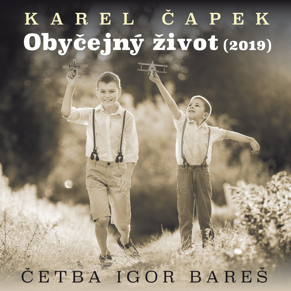 Karel Čapek: Obyčejný život