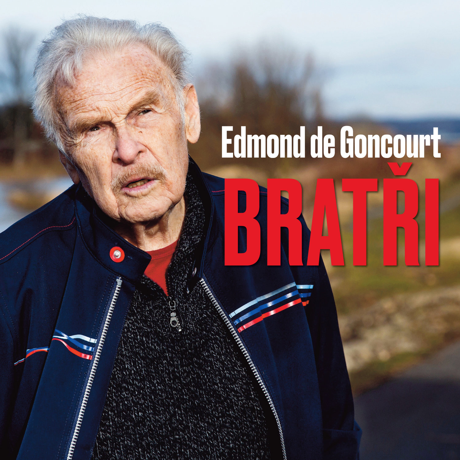 Edmond de Goncourt: Bratři