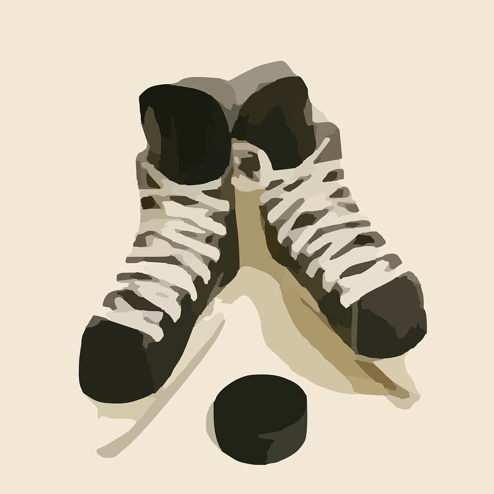 MS v ledním hokeji 1999 v Norsku  - 1. finále