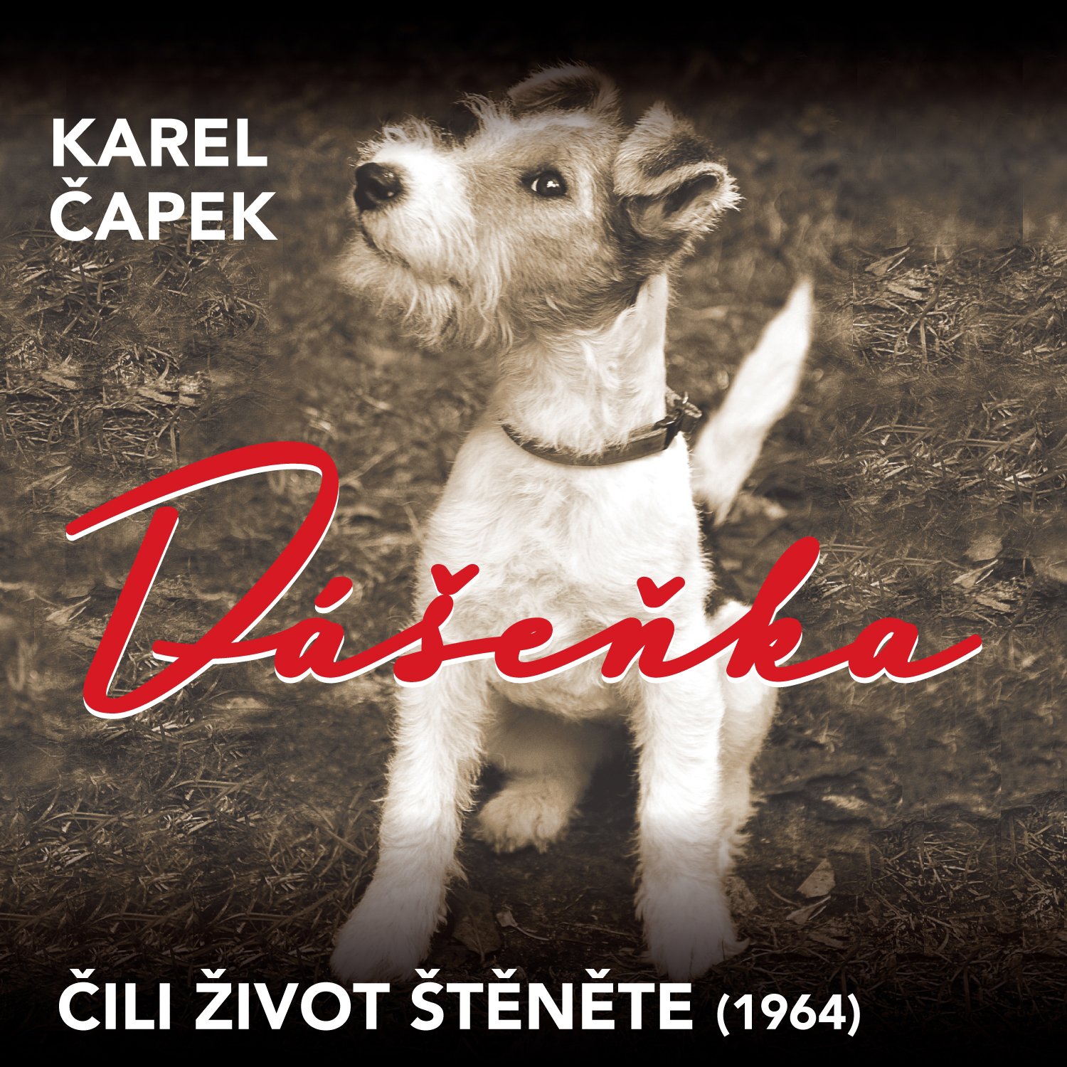 Karel Čapek: Dášeňka čili život štěněte