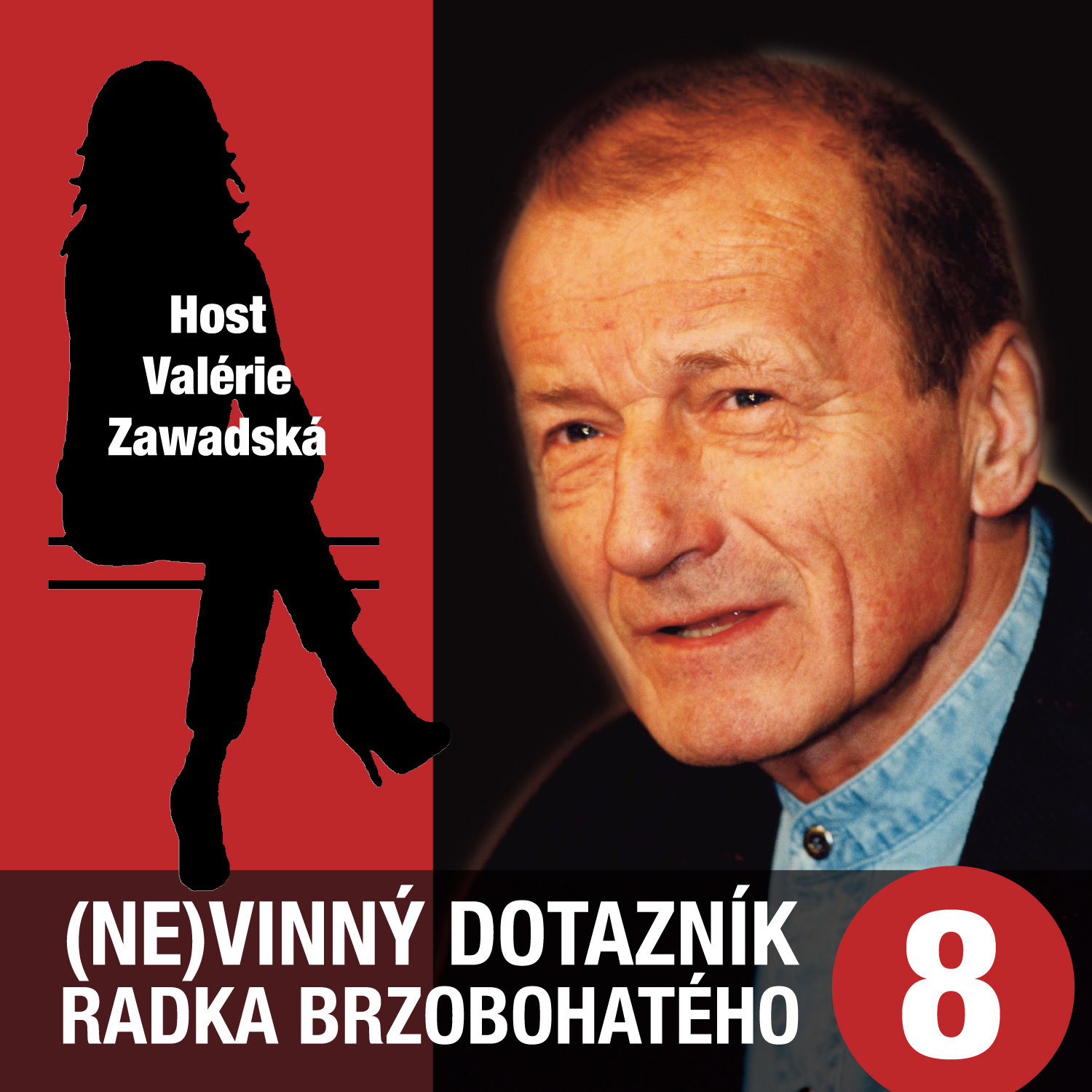 (Ne)vinný dotazník Radka Brzobohatého 8.