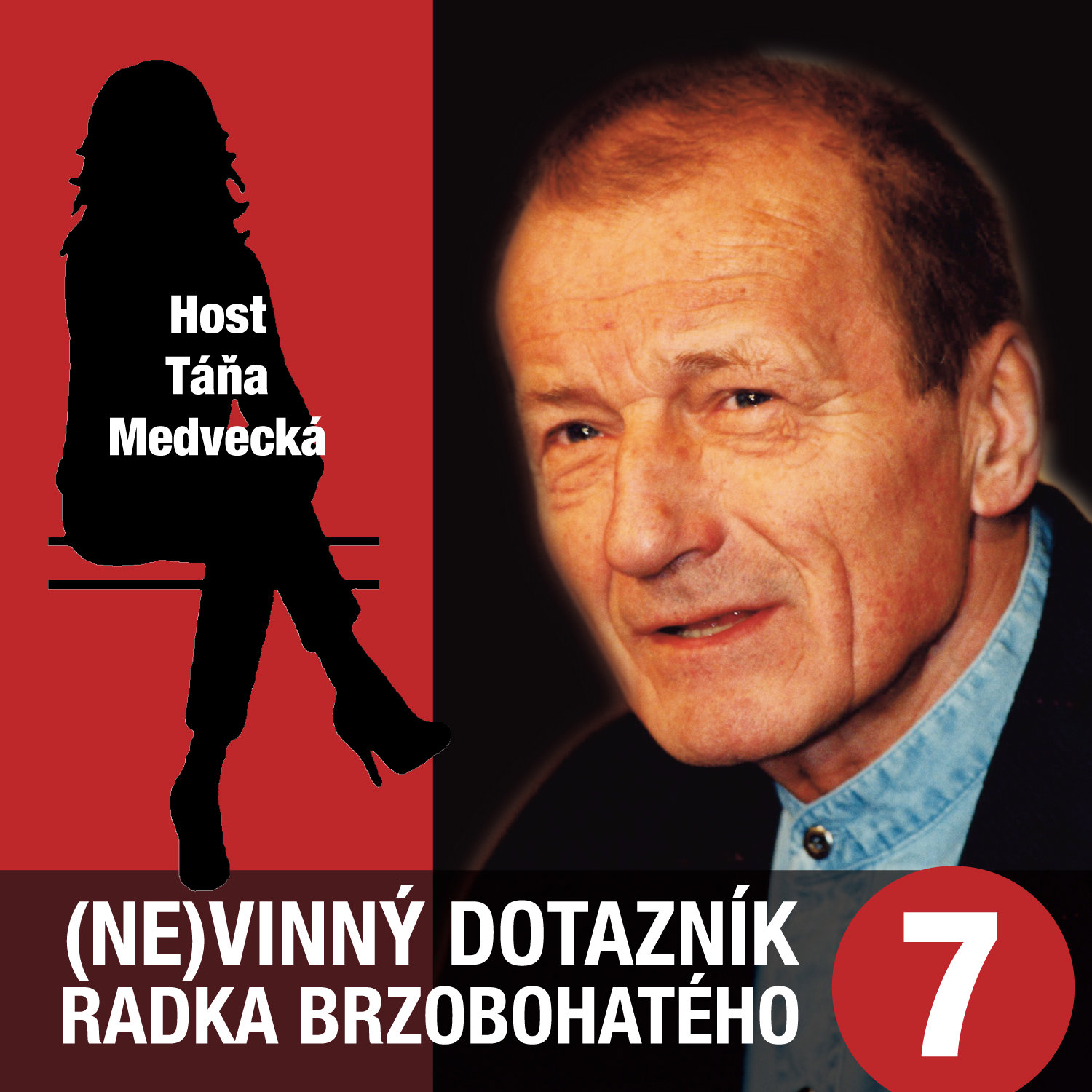 (Ne)vinný dotazník Radka Brzobohatého 7.