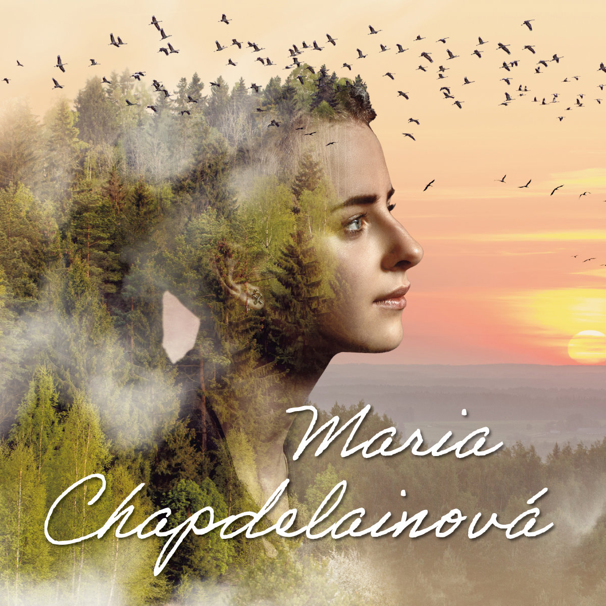 Louis Hémon: Maria Chapdelainová