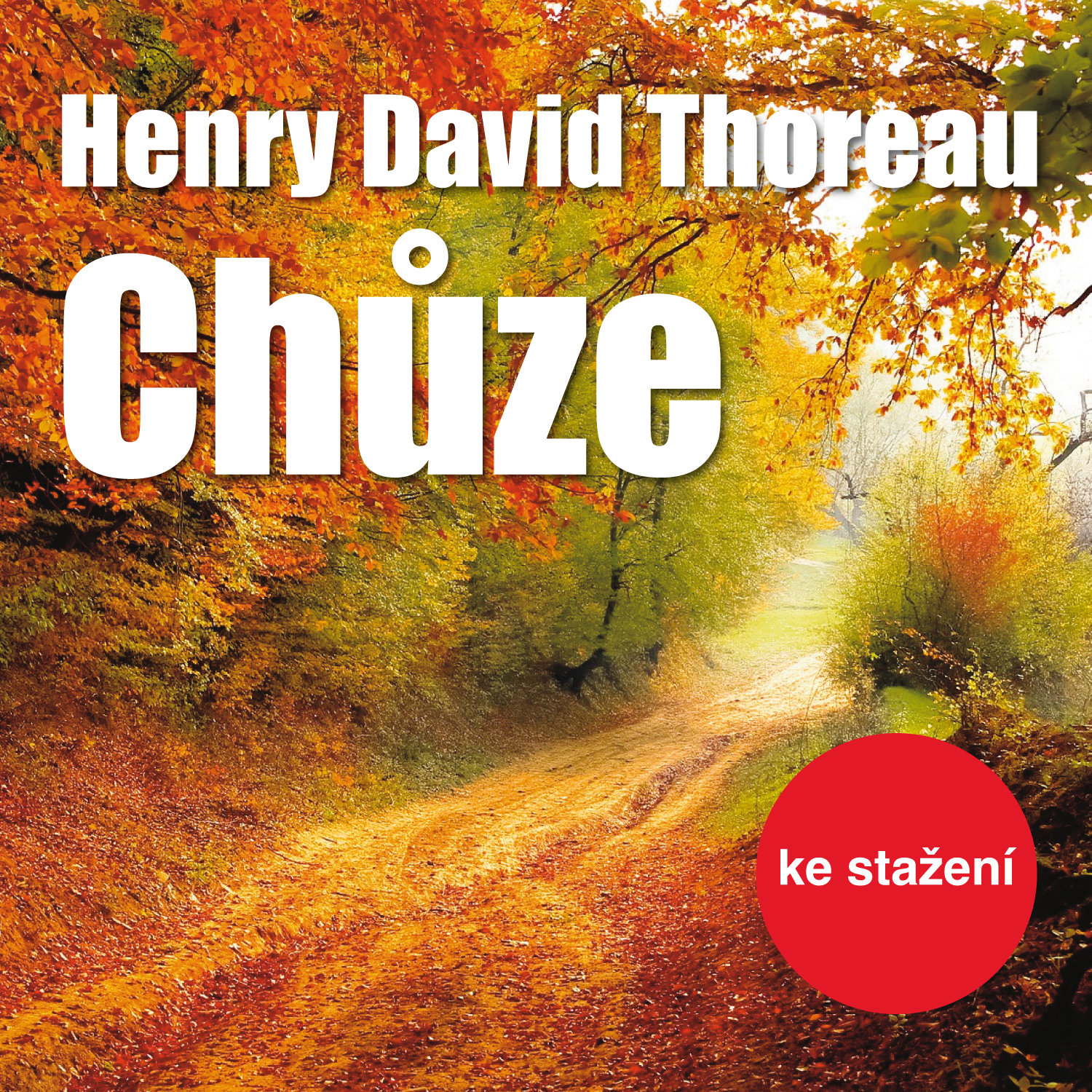 David H. Thoreau: Chůze