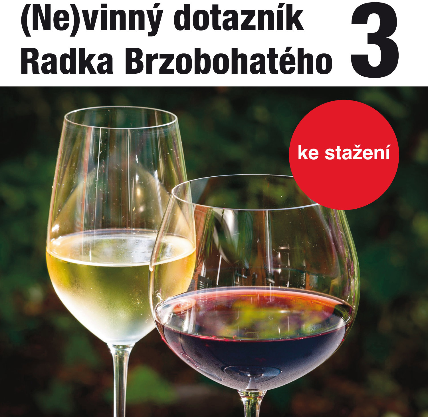 (Ne)vinný dotazník Radka Brzobohatého 3.