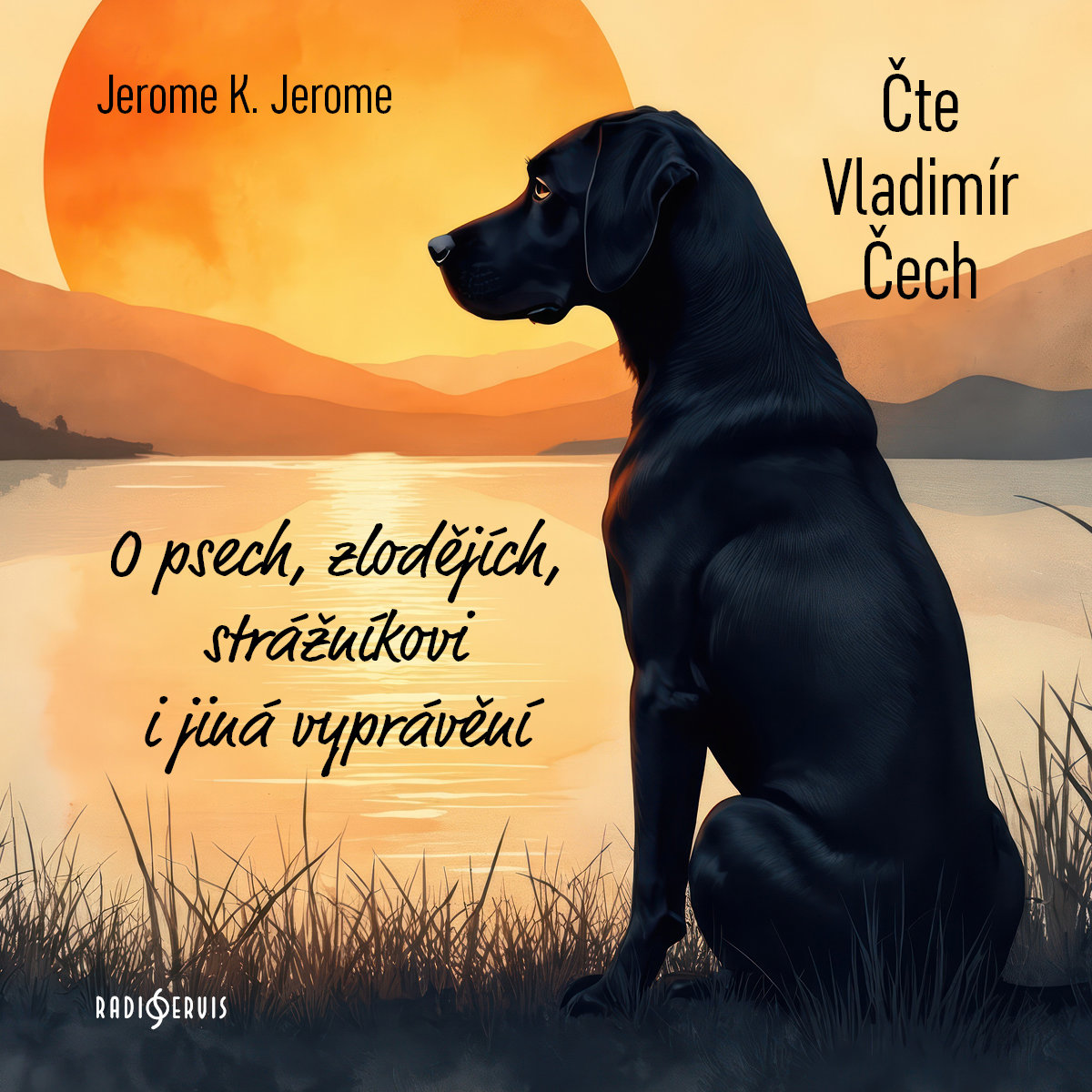 O psech, zlodějích, strážníkovi i jiná vyprávění