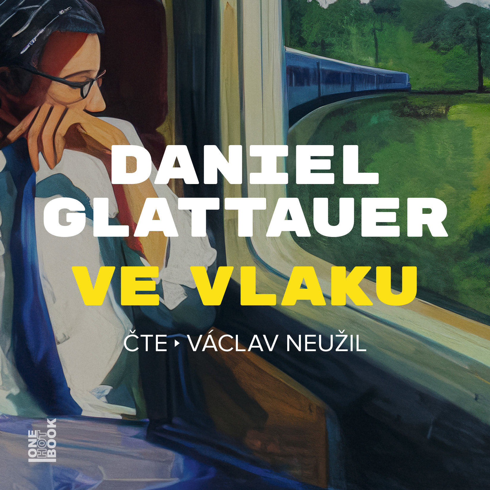 Ve vlaku