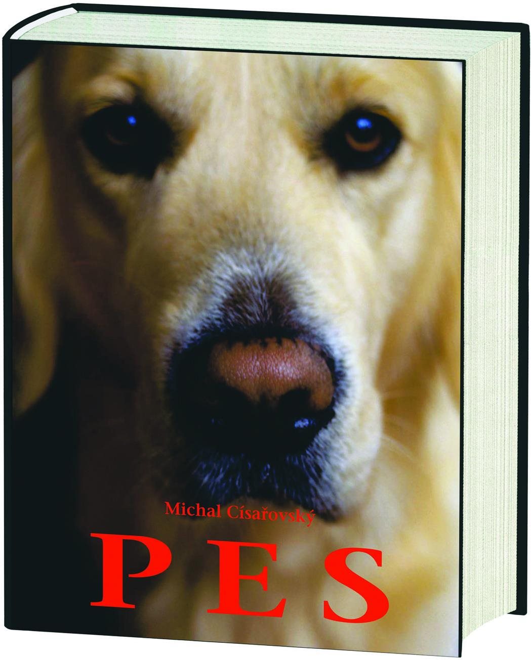 PES – Michal Císařovský