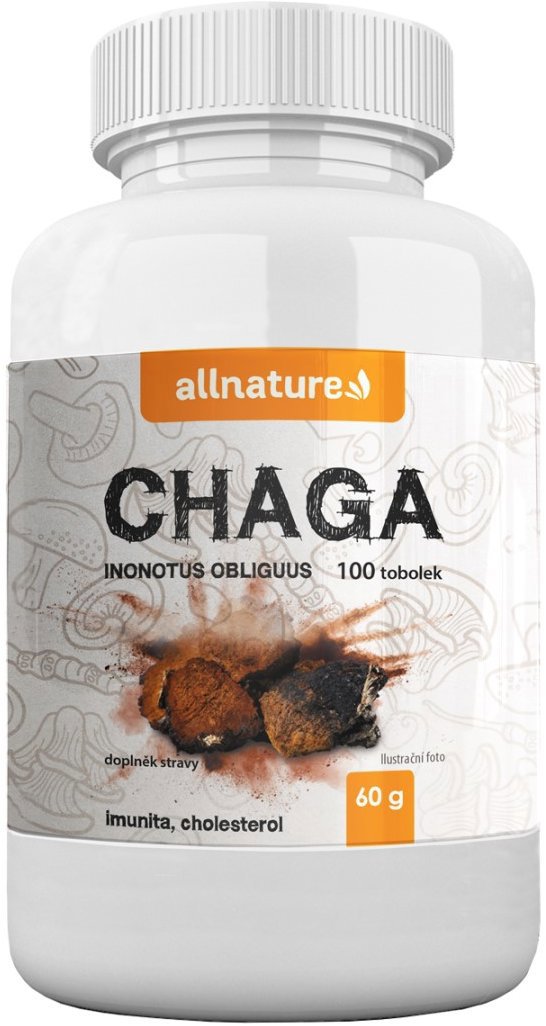 Allnature Chaga 100 kapslí