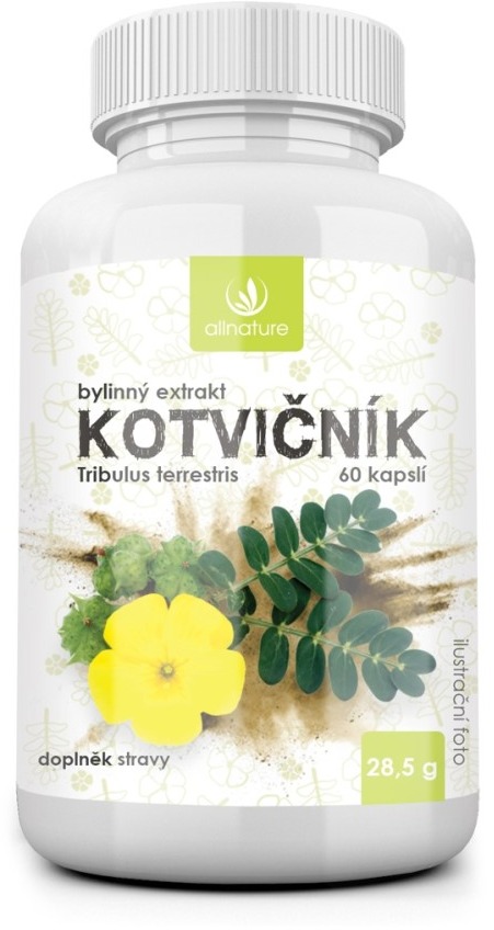 ALLNATURE KOTVIČNÍK BYLINNÝ EXTRAKT 60 CPS Bylinný doplněk, , velikost