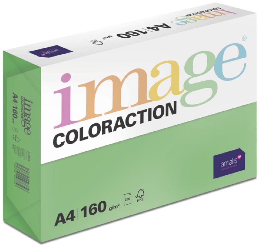 Antalis Barevný papír Dublin / tmavě zelený A4 / 160 g / 250 ks