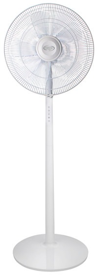 ARGO 398200032