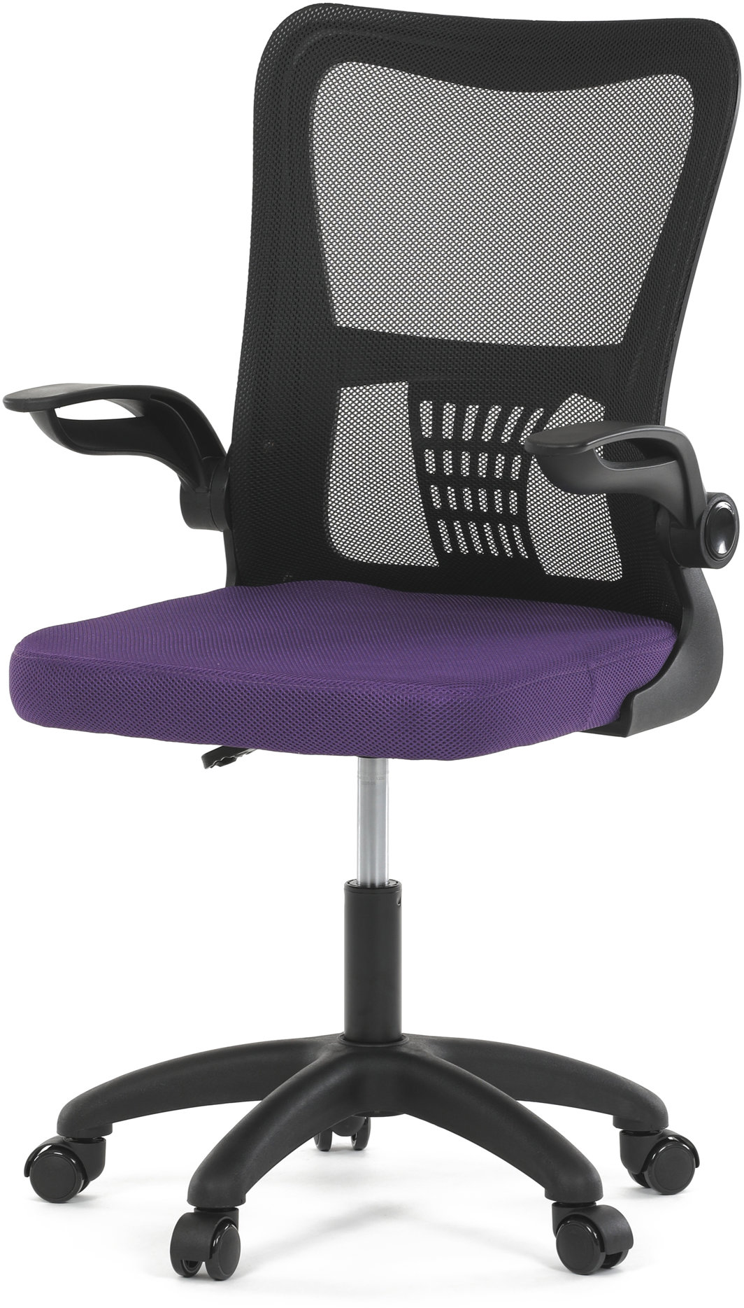 HOMEPRO Riku fialová
