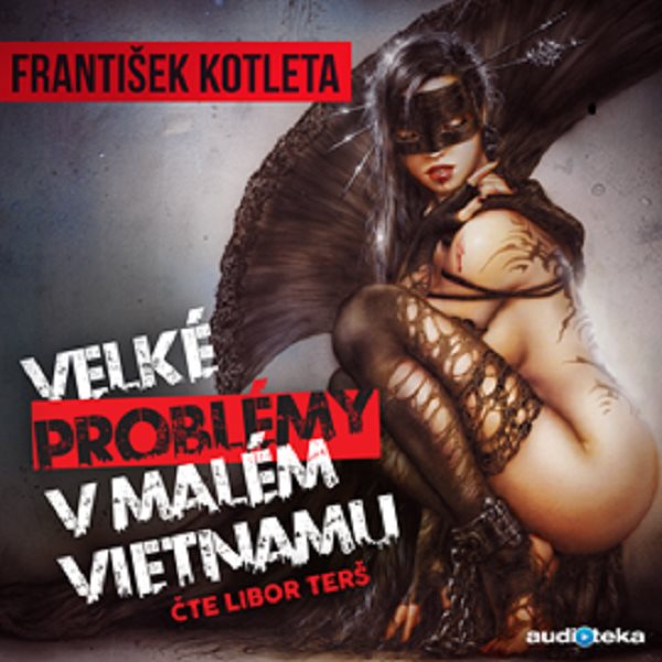 Velké problémy v malém Vietnamu