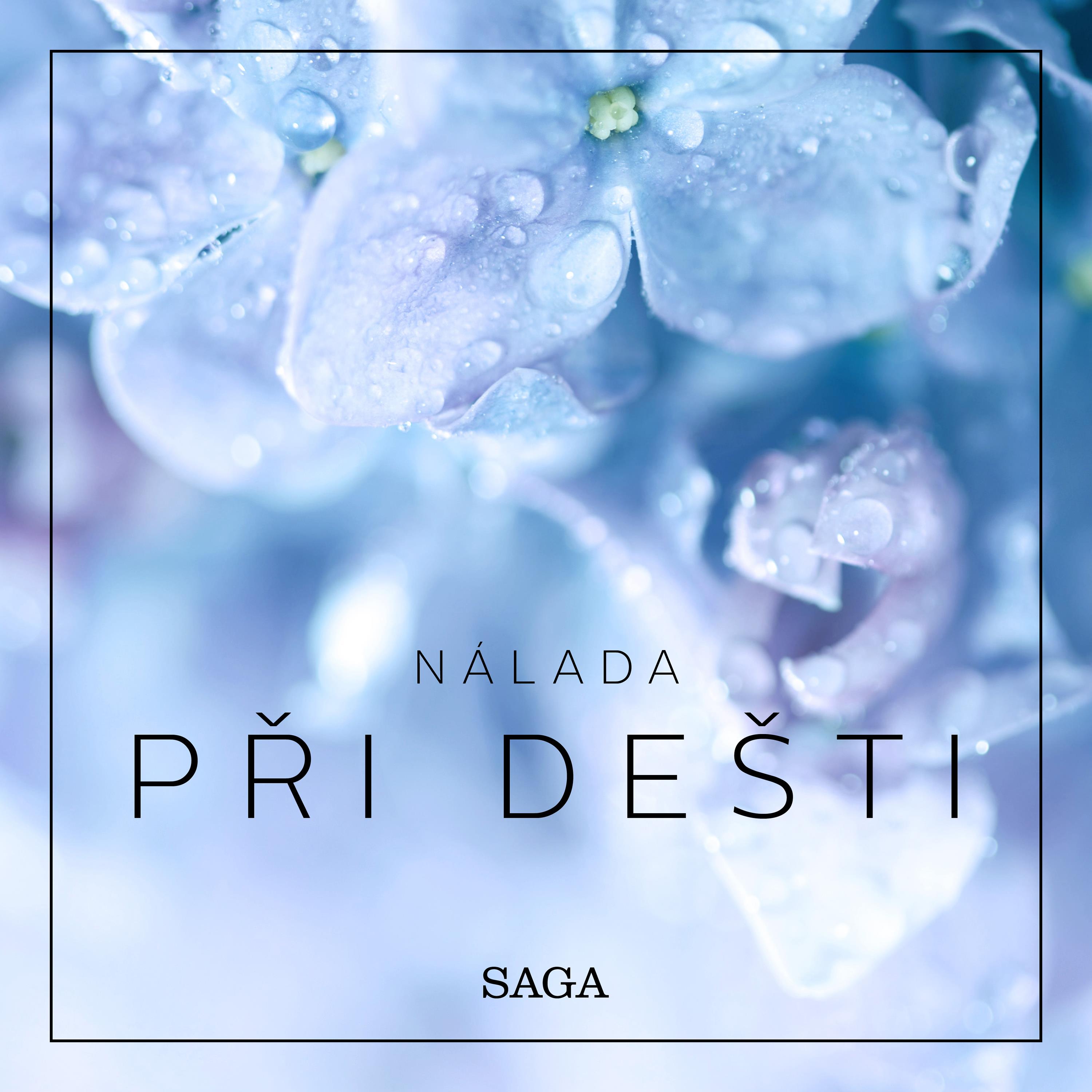 Nálada – Při dešti
