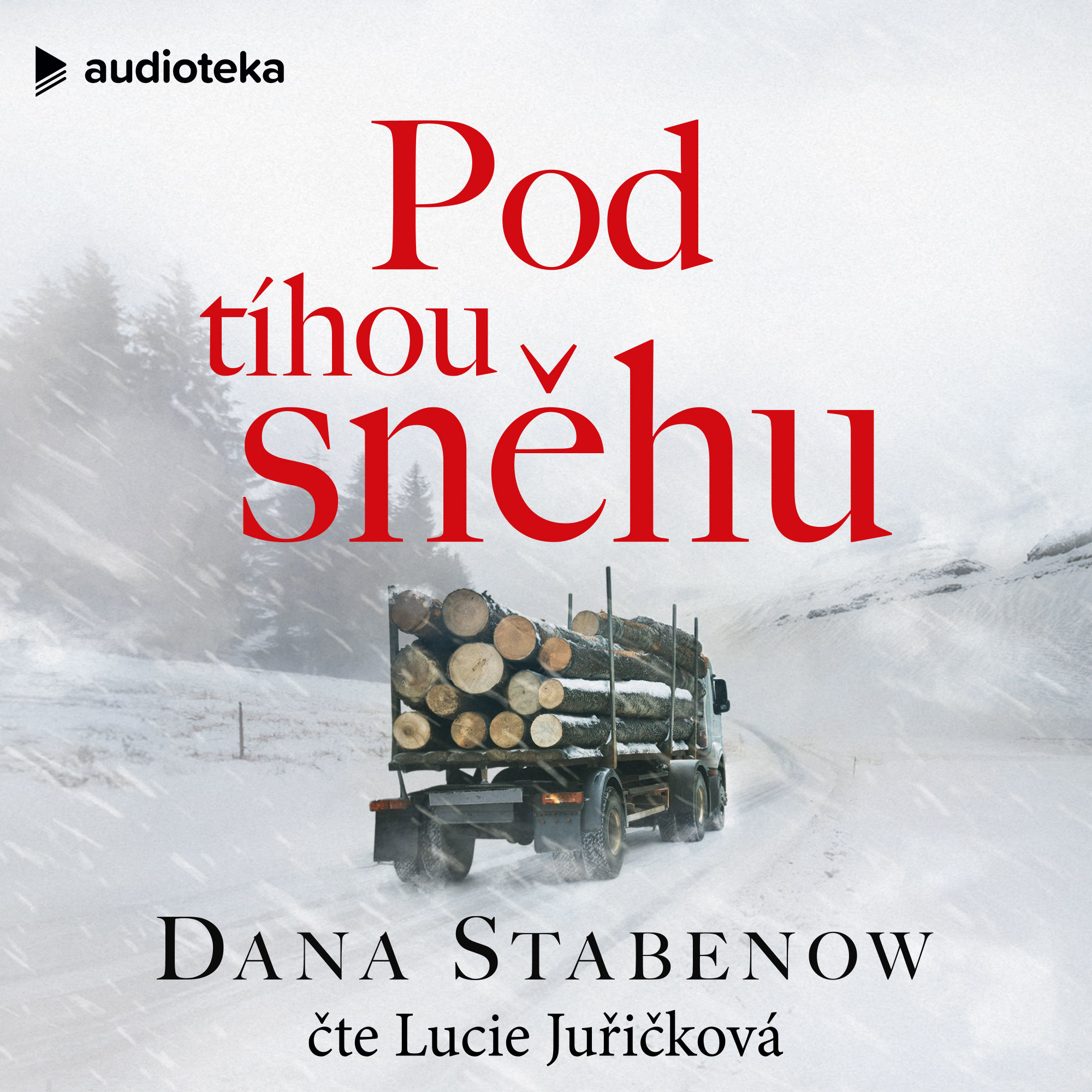 Pod tíhou sněhu