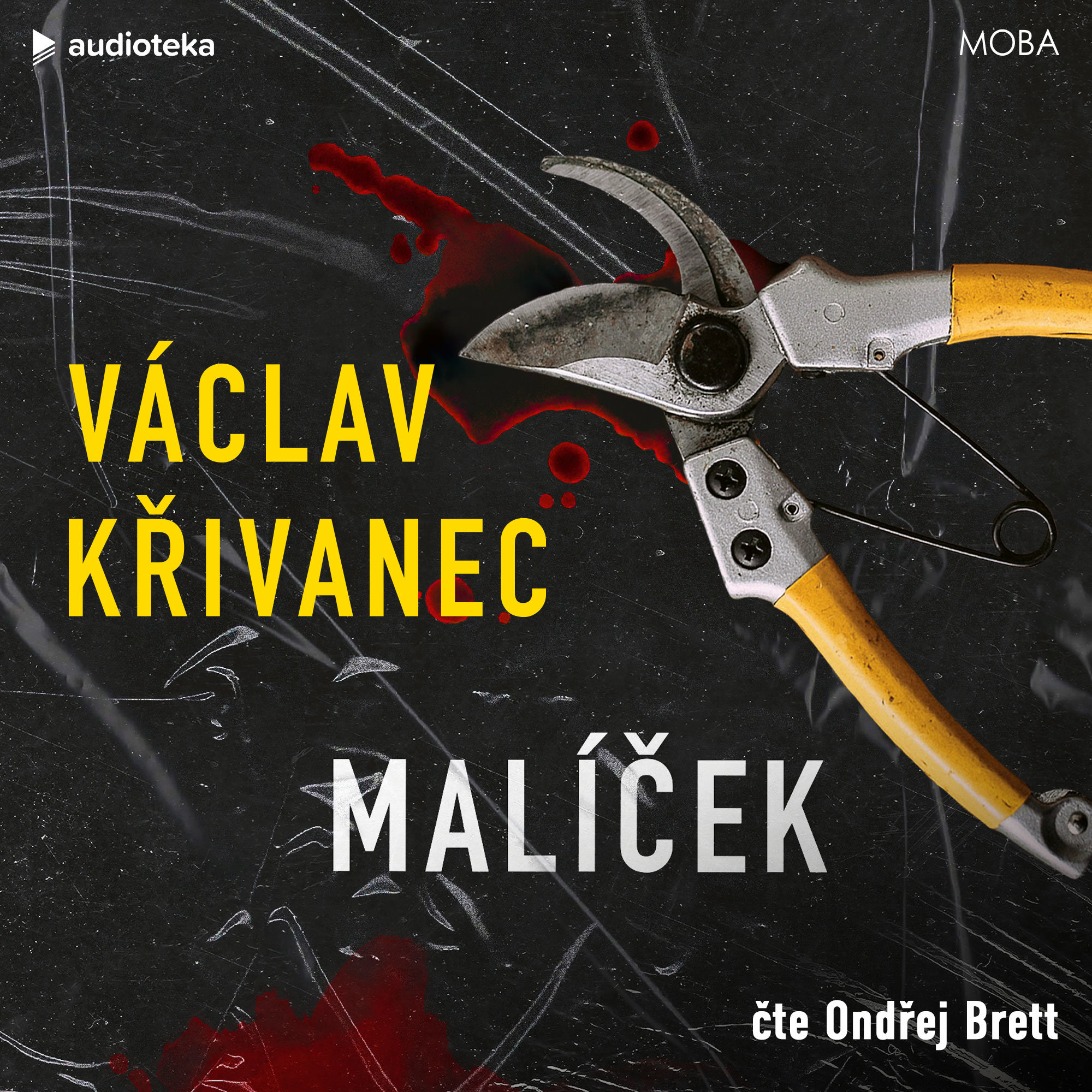 Malíček