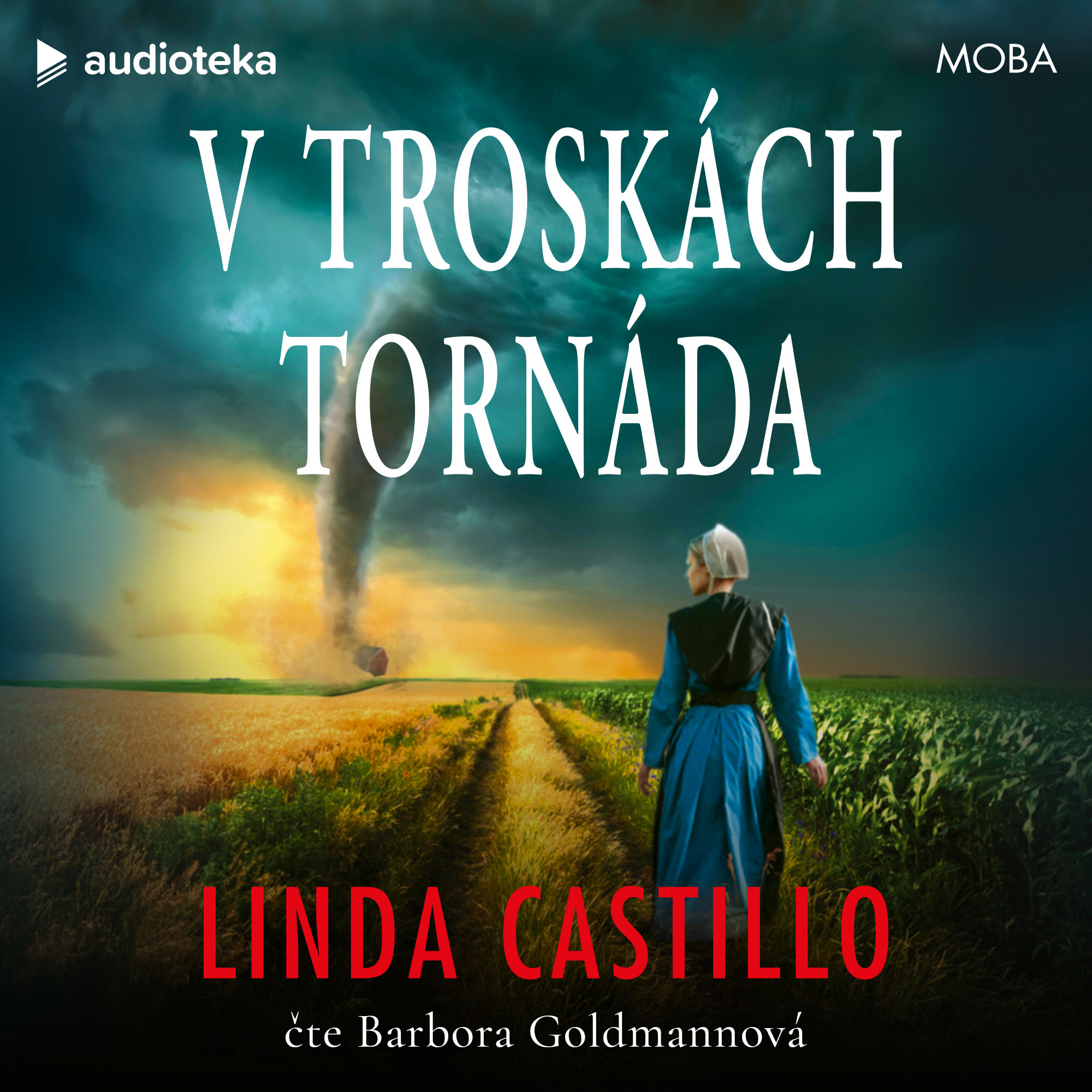 V troskách tornáda