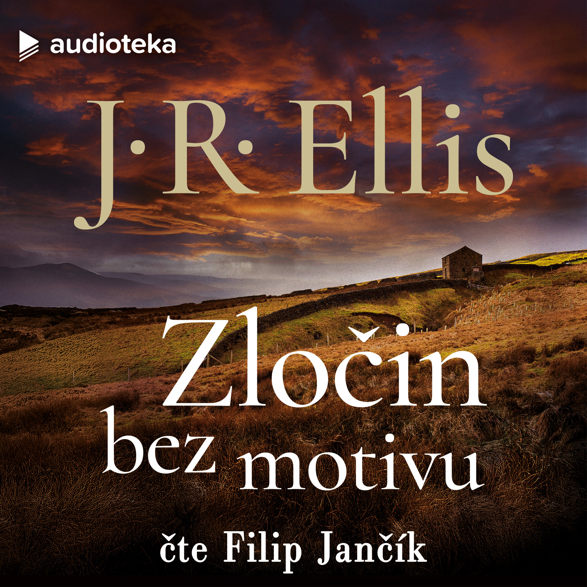 Zločin bez motivu