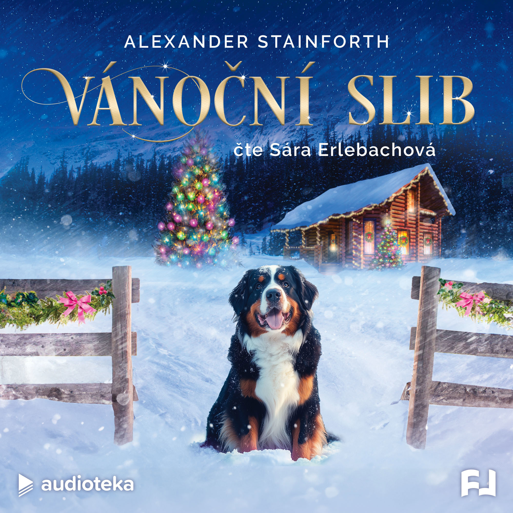 Vánoční slib
