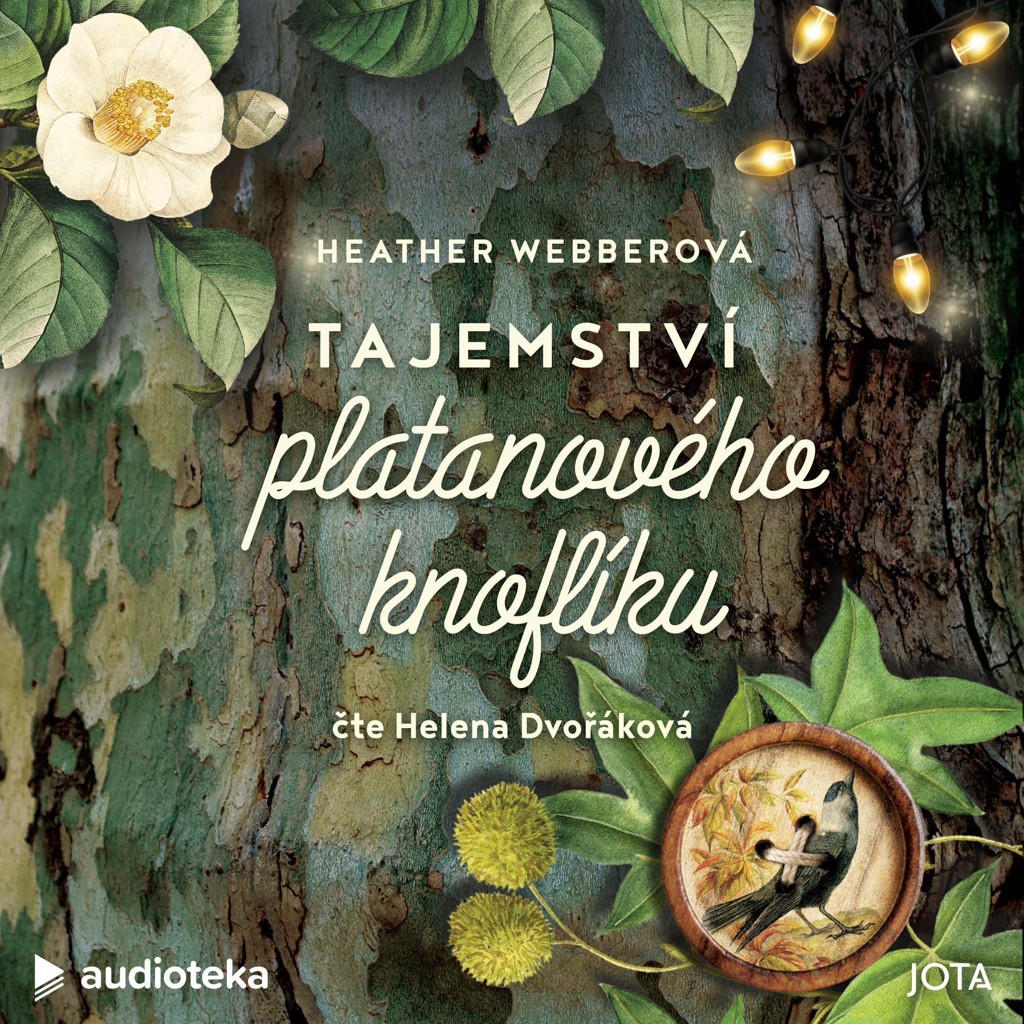Tajemství platanového knoflíku