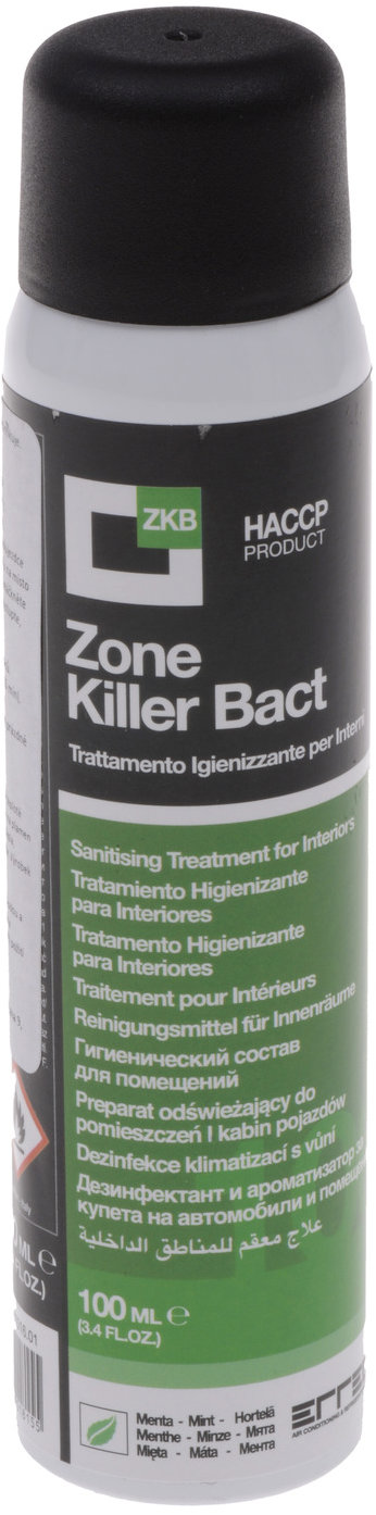 ERRECOM čistič klimatizace a interiéru vozidla, sprej 100 ml, máta