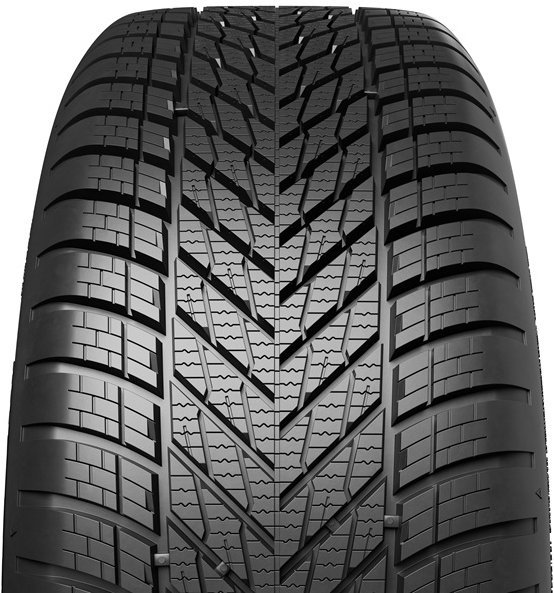 Dunlop Winter 205/65 R17 100H XL FR