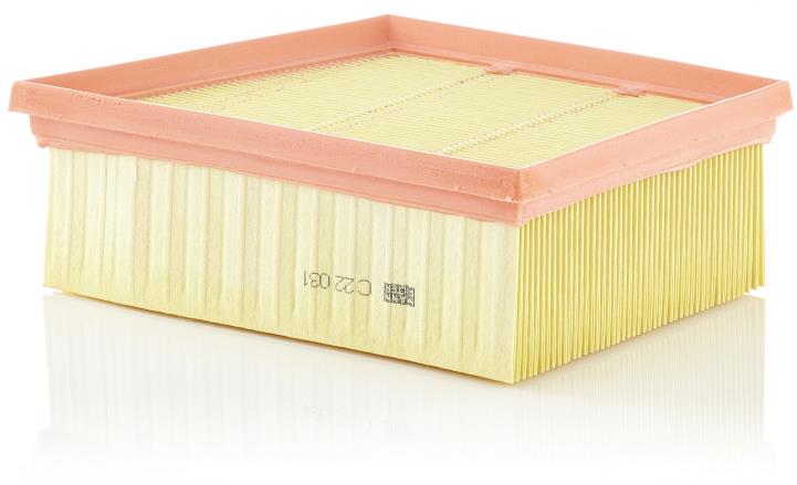 MANN-FILTER vzduchový filtr C 22 031