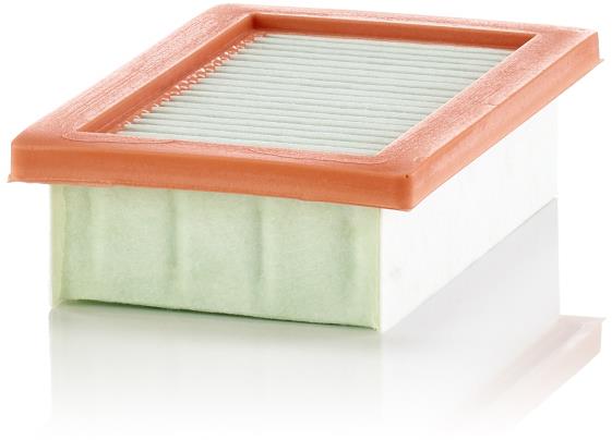 MANN-FILTER vzduchový filtr C 22 033/1