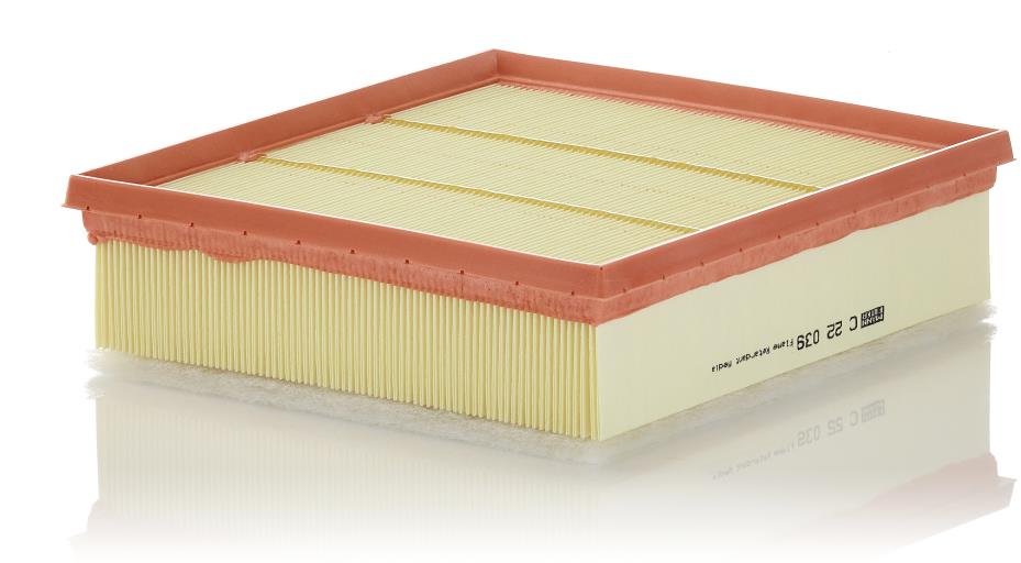 MANN-FILTER vzduchový filtr C 22 039