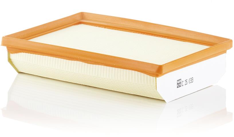 MANN-FILTER vzduchový filtr C 25 033