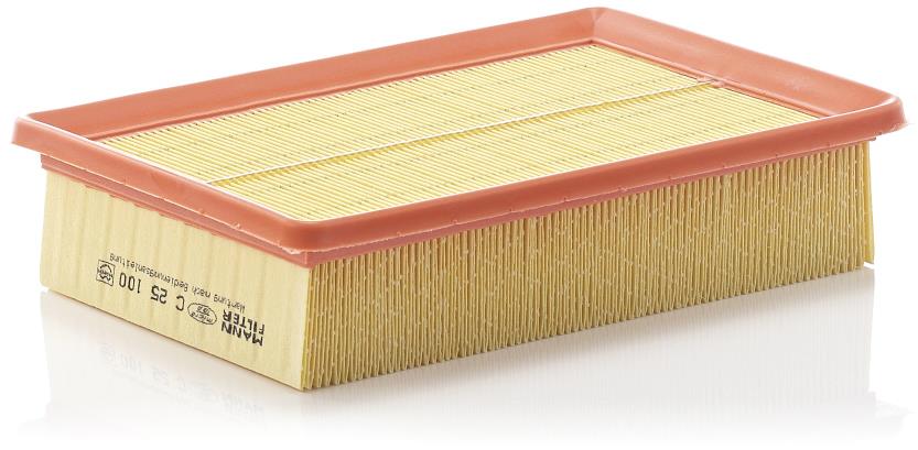MANN-FILTER vzduchový filtr C 25 100
