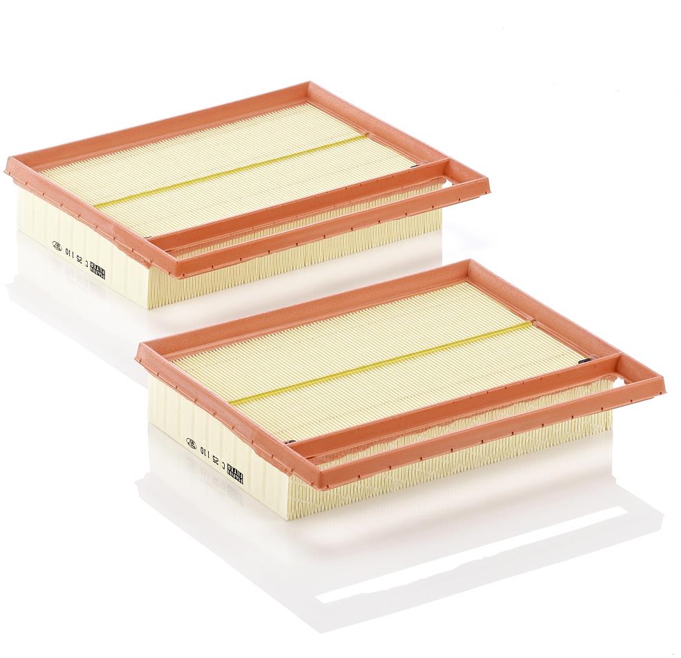 MANN-FILTER vzduchový filtr C 25 110-2