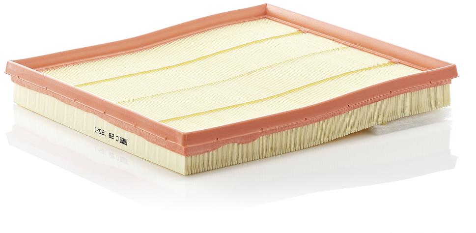 MANN-FILTER vzduchový filtr C 28 125/1