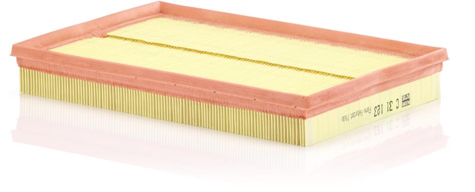 MANN-FILTER vzduchový filtr C 31 123