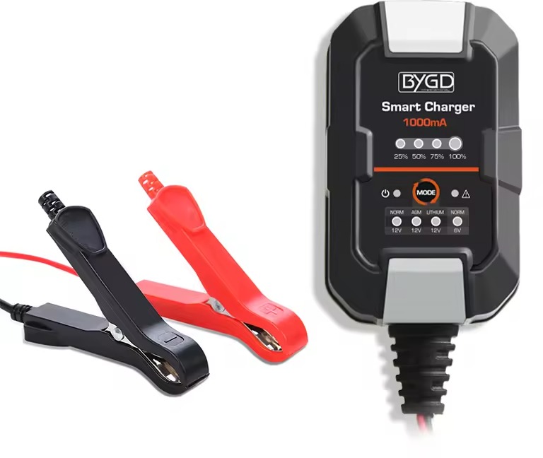 BYGD F1000