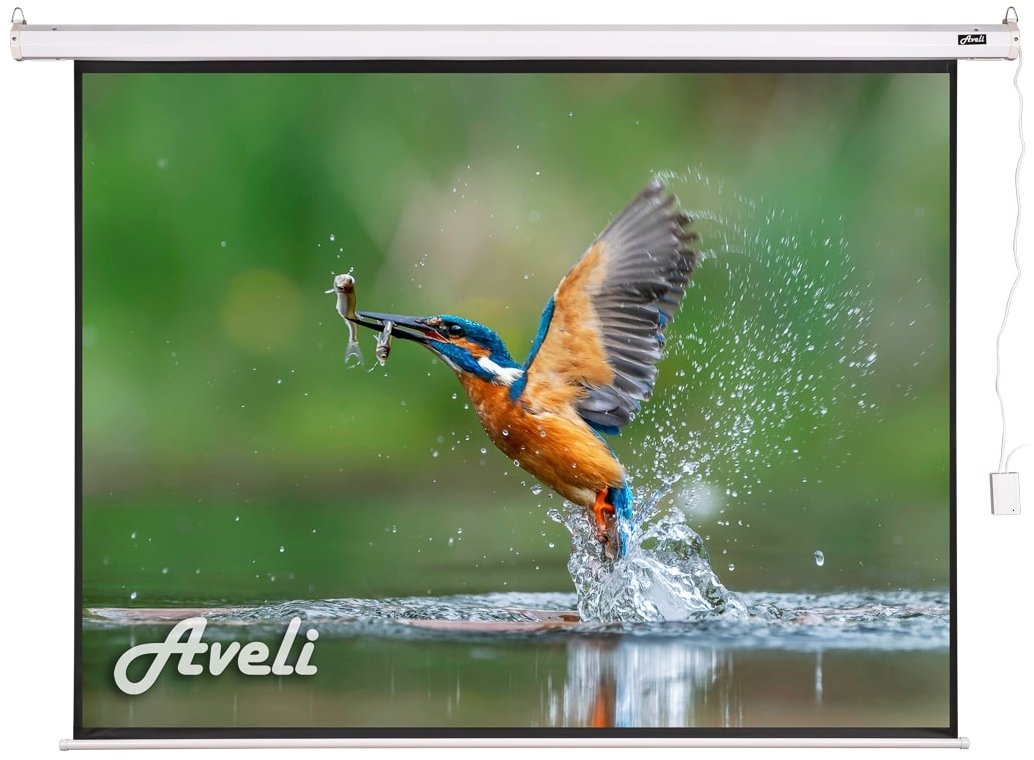 Roleta AVELI s elektrickým motorem 119" (4:3)