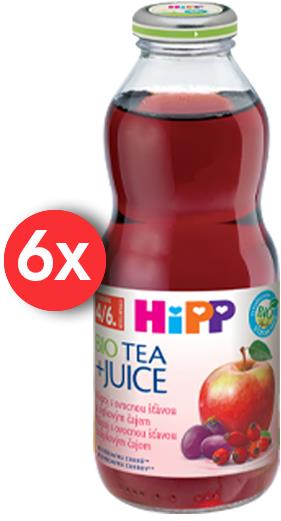 HiPP BIO Nápoj s ovocnou šťávou a šípkovým čajem 6× 500 ml