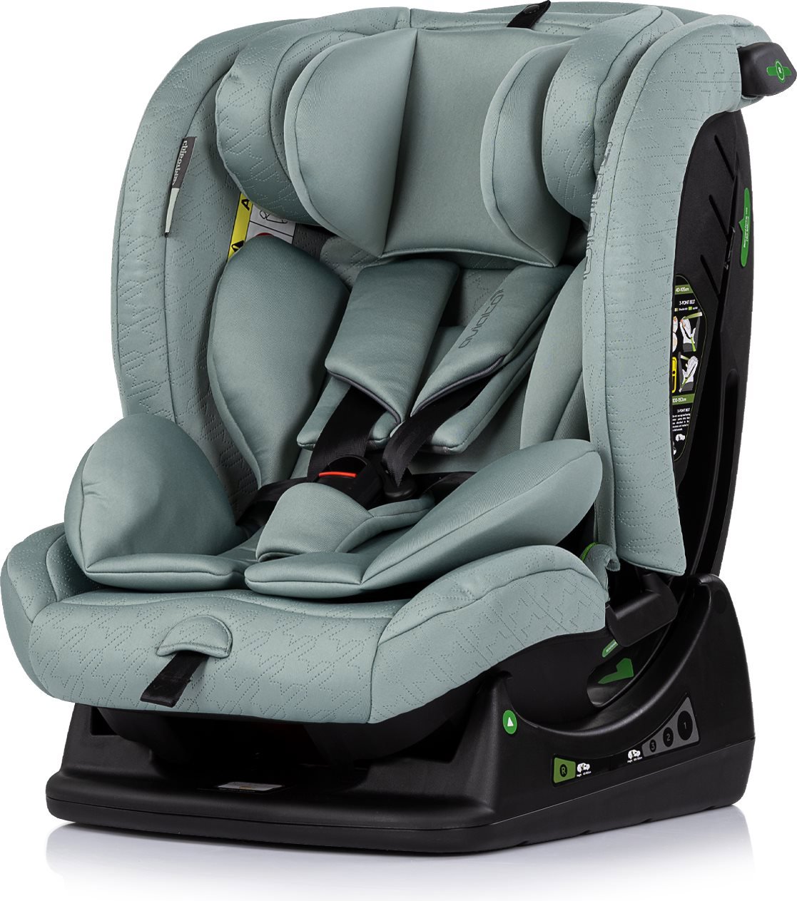 CHIPOLINO Aviato i - Size 40 - 150 cm Basil