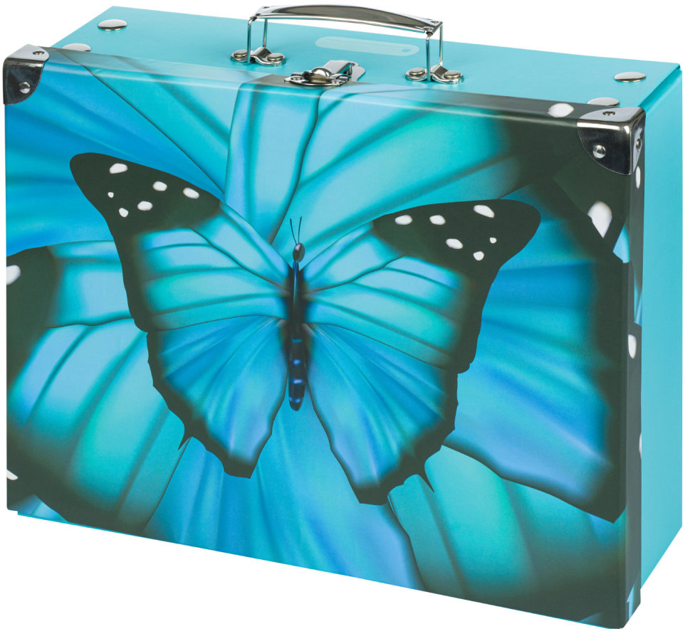 BAAGL Skládací školní kufřík Butterfly s kováním