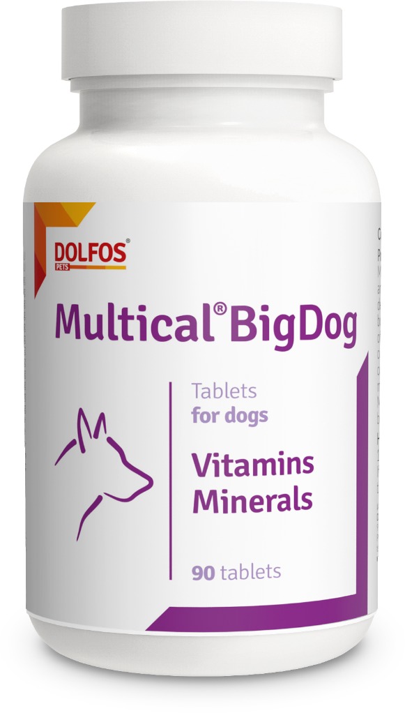 Dolfos Multical BigDog 90 tbl. - vitamíny a minerály pro velká plemena psů