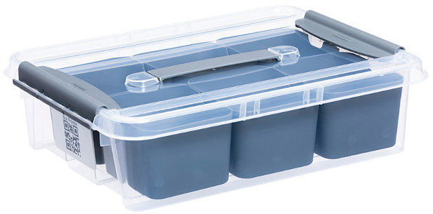 Plast Team Úložný box s přihrádkami a víkem 8 l
