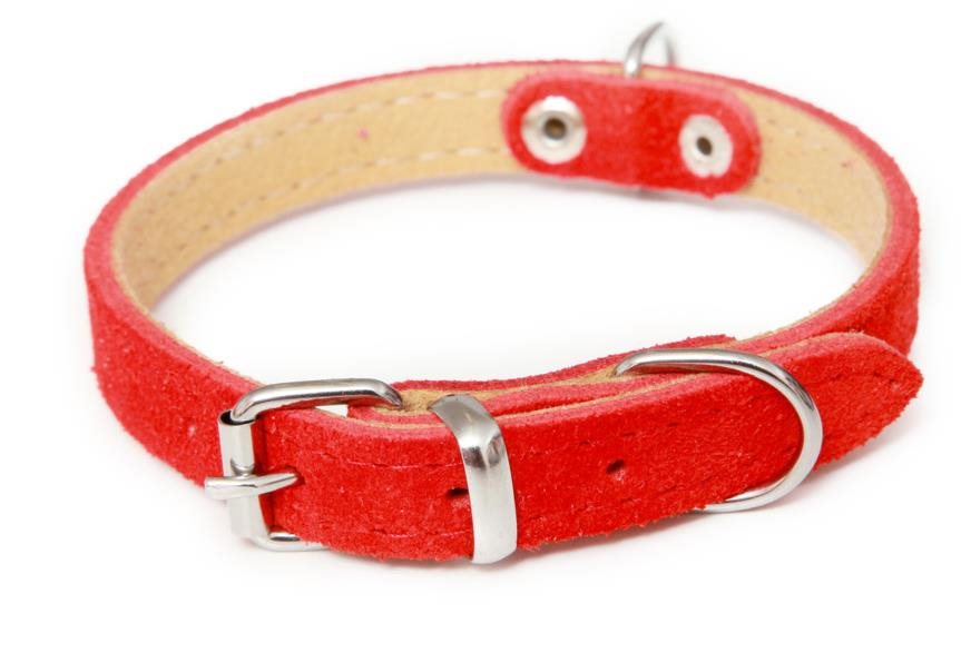 Bafpet Obojek Sunny ze semišové kůže, hladký, Červený, 12mm × 30cm /21-27/ 02101