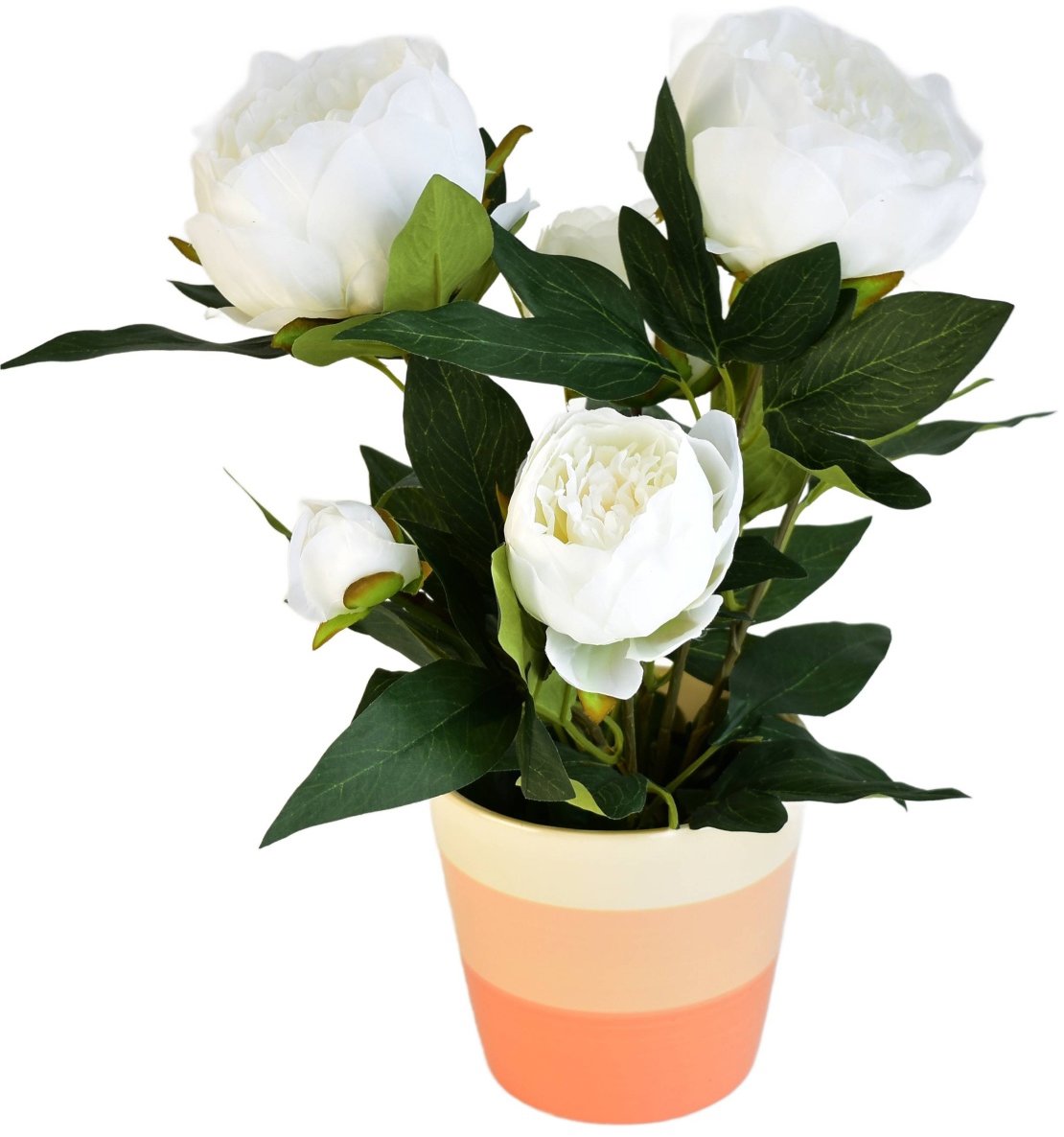 BerryHome Pivoňka bílá v keramickém květináči, průměr 30/38 cm