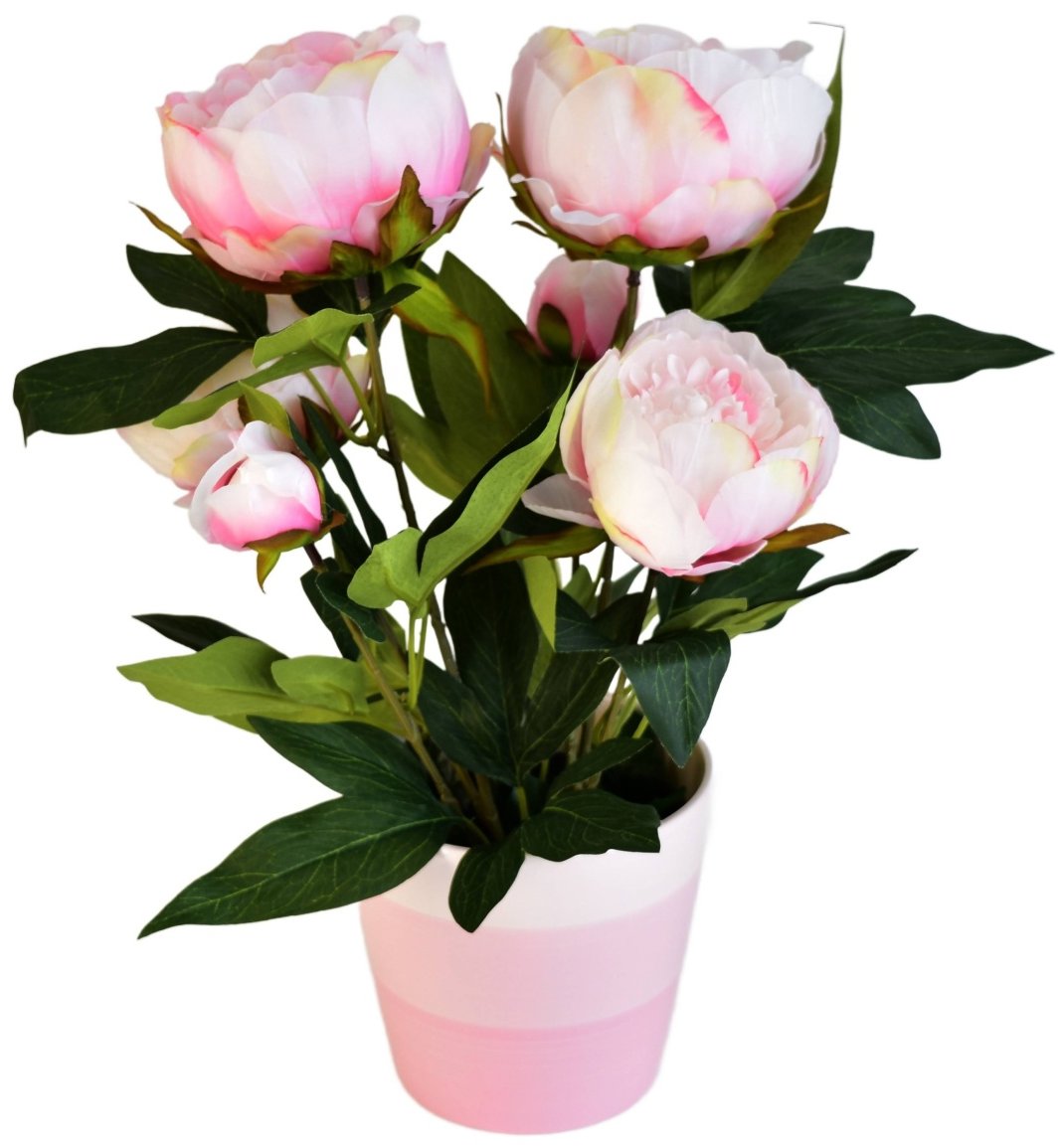BerryHome Pivoňka světle růžová v keramickém květináči, průměr 30/38 cm