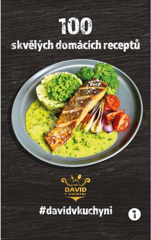 David v kuchyni 1. díl kuchařky: 100 skvělých domácích receptů