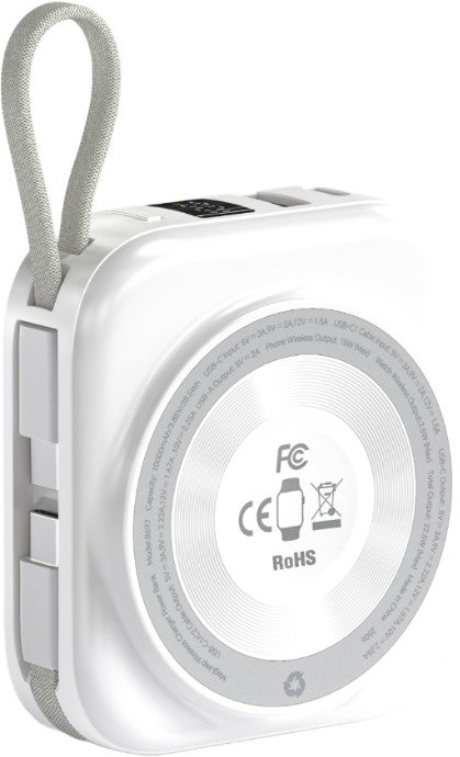Choetech 10000mAh LED display Dual Type-c Cable Out power bank for Mobile and Apple watch-Silver