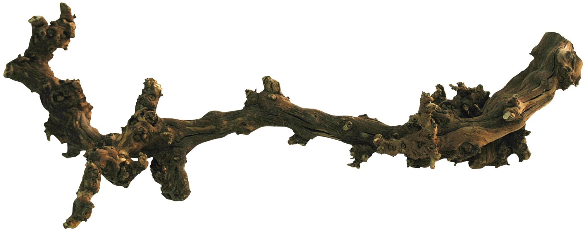Lucky Reptile Grapevine tmavý S 30-45 cm