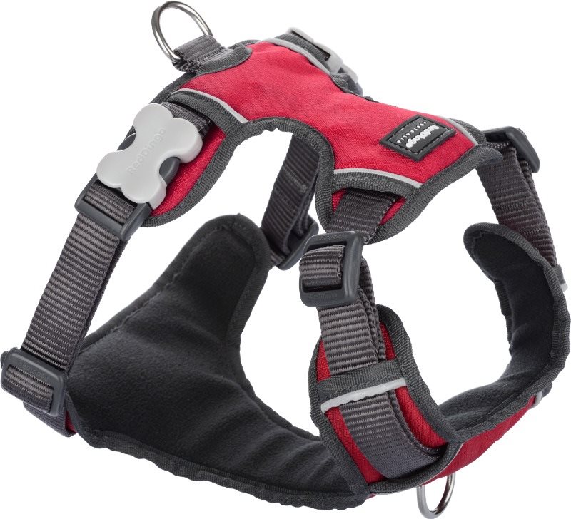 Red Dingo Postroj polstrovaný Červený XS 31-43 cm