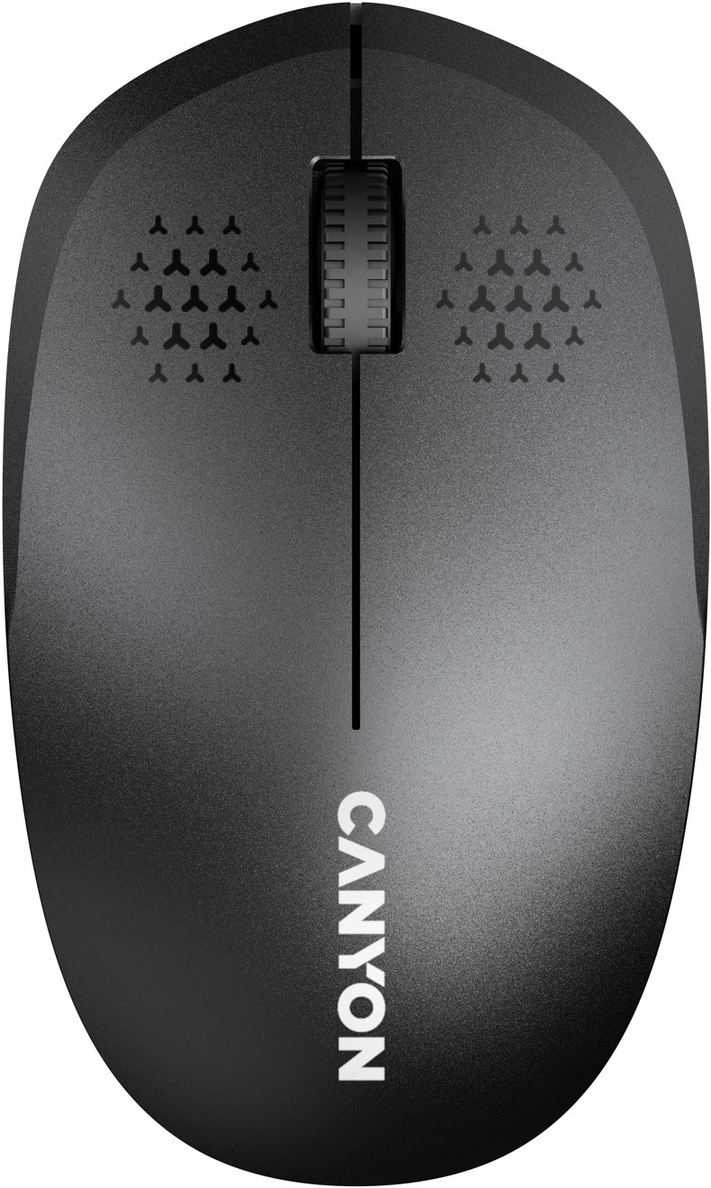 CANYON Mouse MW-4 Wireless Black